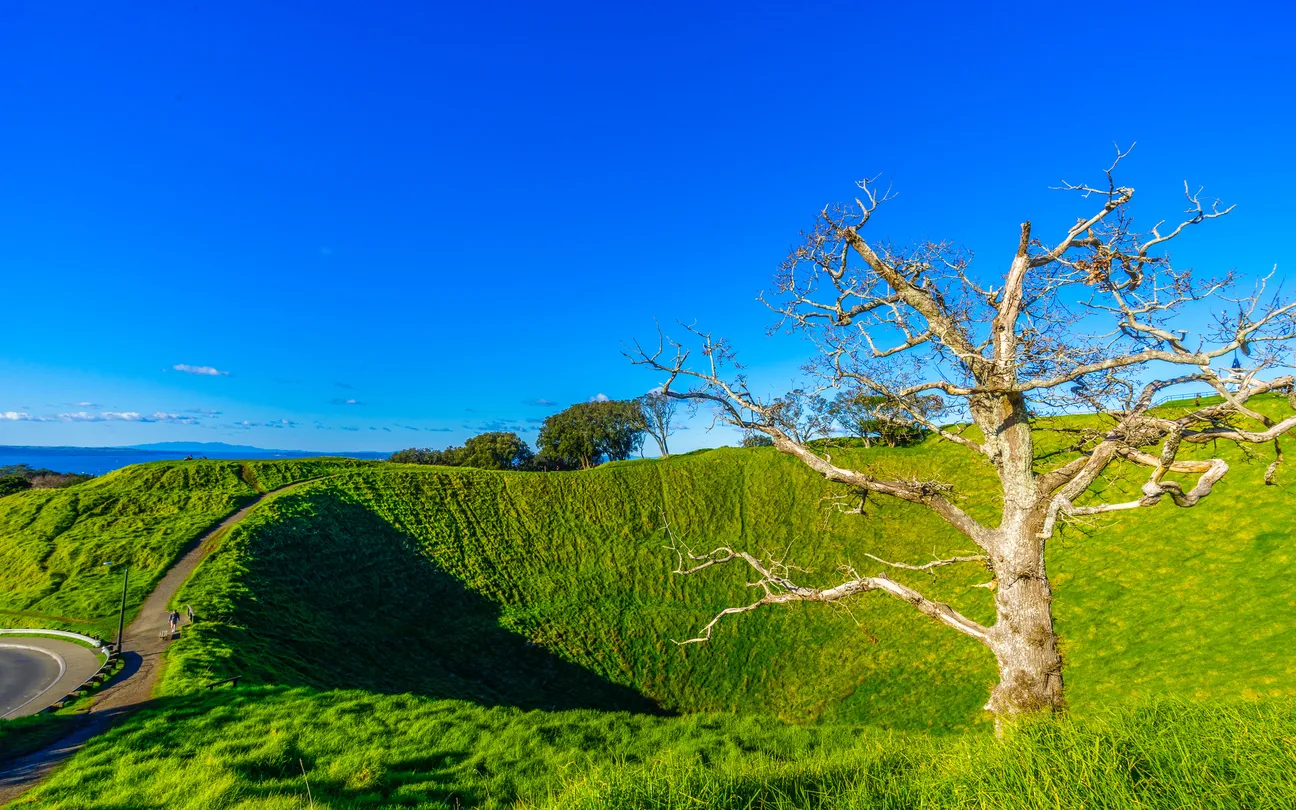 3_Mount Eden