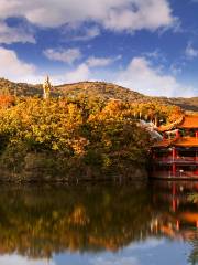 Hengshan Temple Forest Park