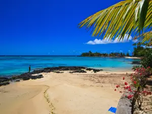 Tamarin Public Beach