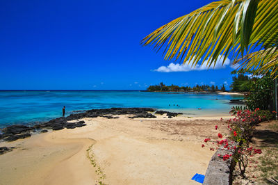 Tamarin Public Beach