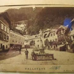 Gasthof Zauner User Photo