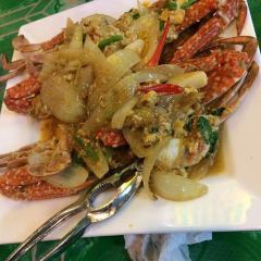 Green Bird User Photo