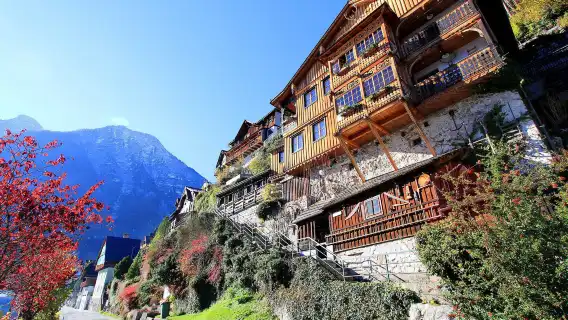 ทัวร์ 1 วัน จากเวียนนา ประเทศออสเตรีย