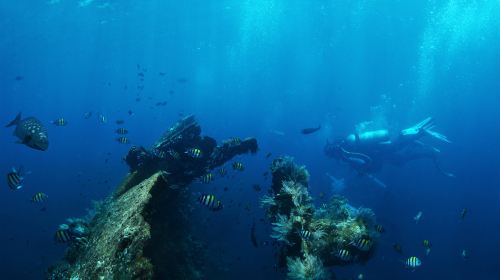 USAT Liberty Shipwreck