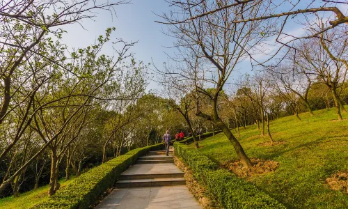 Chongqing Nanshan Botanical Garden
