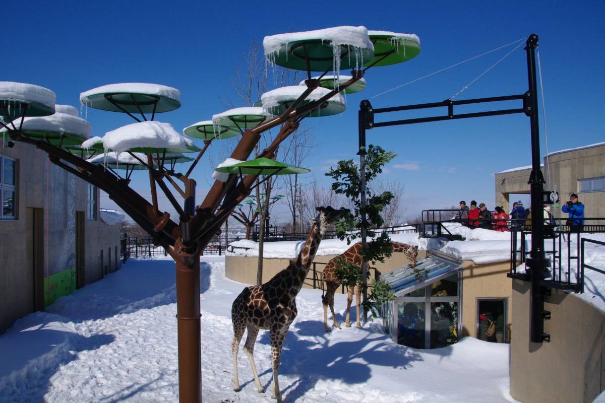 Asahiyama Zoo