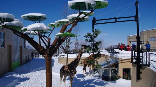 Vườn bách thú Asahiyama