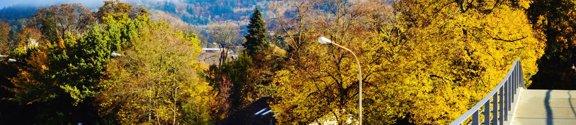 Fall Viewing Attractions