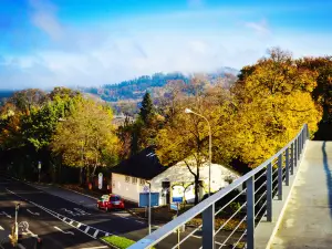 Popular Fall Viewing Attractions in Breisgau-Hochschwarzwald