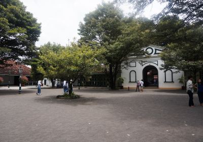 The Palace of Yogyakarta