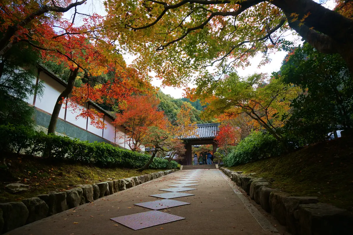 京都和服, 南禪寺
