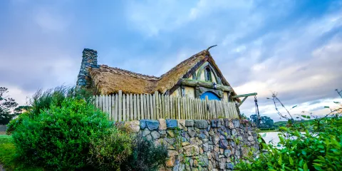 新西蘭哈比村+懷託摩螢火蟲洞或魯阿庫利洞一日遊