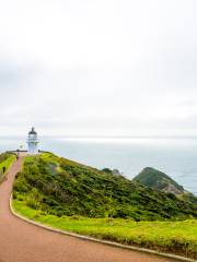 Cape Reinga