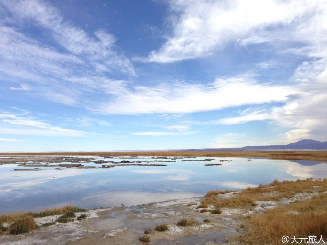 Laguna Cejar