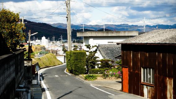 高野山+黑潮市場+圓月島+千疊敷+三段壁展望台【普通話司機】