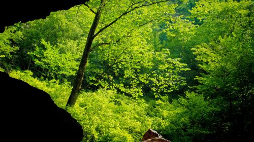 Ningan Crater National Forest Park