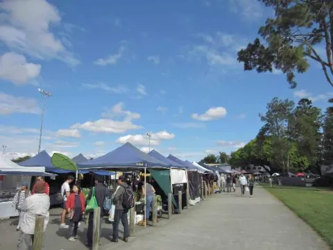 Davies Park Market