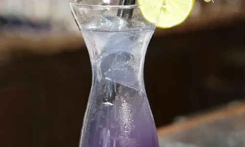 Elephant Bar