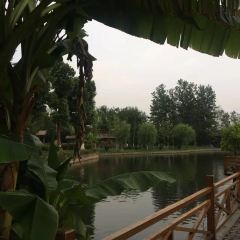Donghaiyuzhuang (changdedadao) User Photo