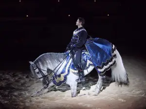 Medieval Times Dinner & Tournament
