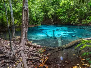 Emerald Pool