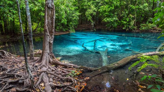 Emerald Pool