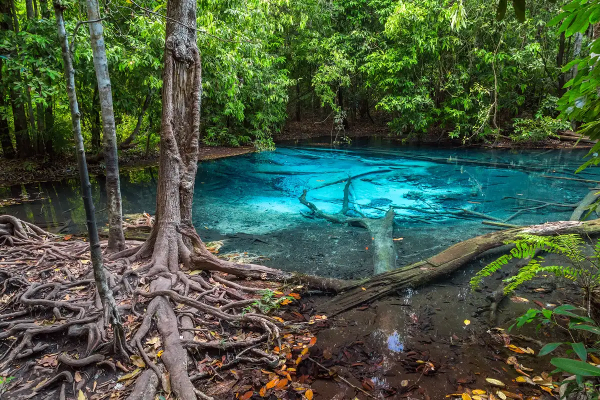 Emerald Pool