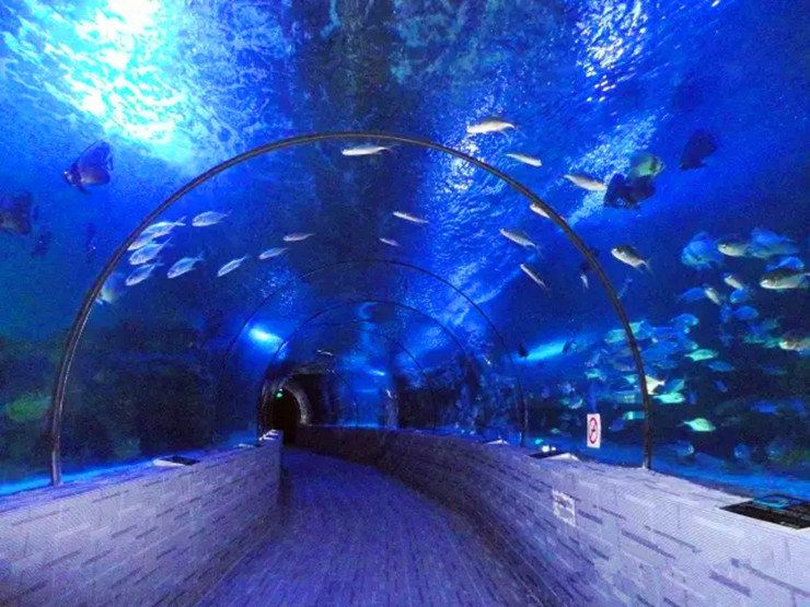 Beihai Underwater World