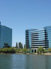 Redwood Shores