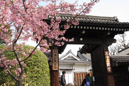 One-day trip to Kyoto, Japan + Sanjusangendo Temple + Heian Shrine + Hanamikoji