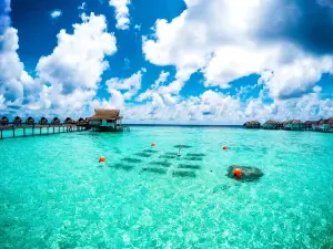 Machchafushi
