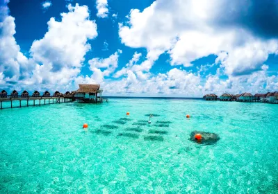 Machchafushi