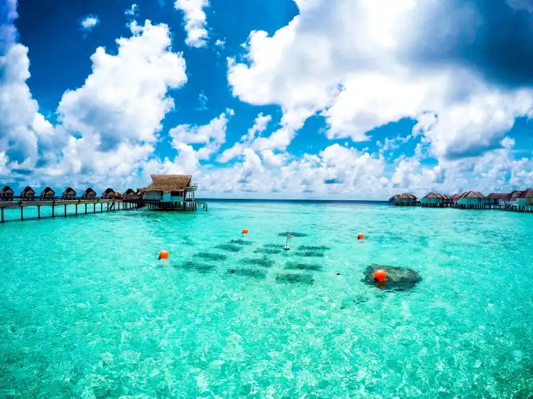 Hotels in Machchafushi