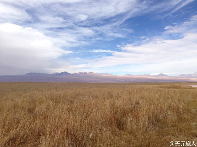 Laguna Cejar