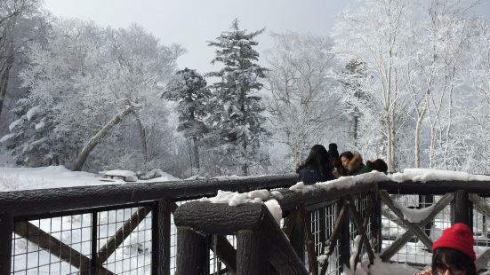 我们去的前一晚导游还不确定是否这个景点能程行，因为下大雪或缆