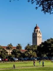 Stanford University