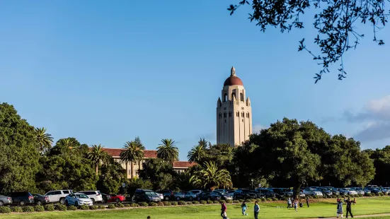 Đại học Stanford