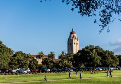 Stanford University