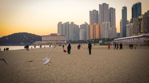 Bãi biển Haeundae