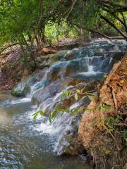 Krabi Hot Springs