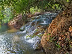 Krabi Hot Springs