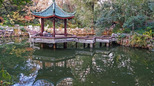 上海三大名校研學營/親子研學體驗/研學導師帶隊校園參觀+講解【上海交大/復旦大學/同濟大學+半日/一日營】