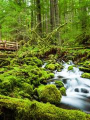 Olympic National Park