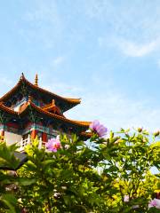 Peony Admiring Of Wangcheng Garden