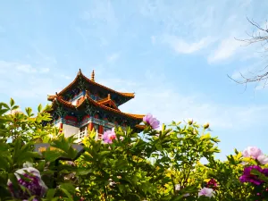 Wangcheng （Royal City）Park