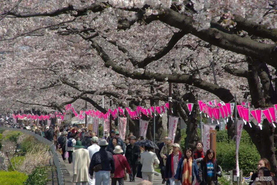 2_Sumida Park