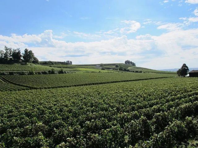 St-Emilion