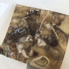 LIN JIA MIN NAN FLAVOR User Photo