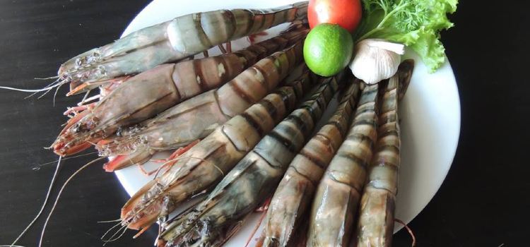 Malli's Seafood Restaurant