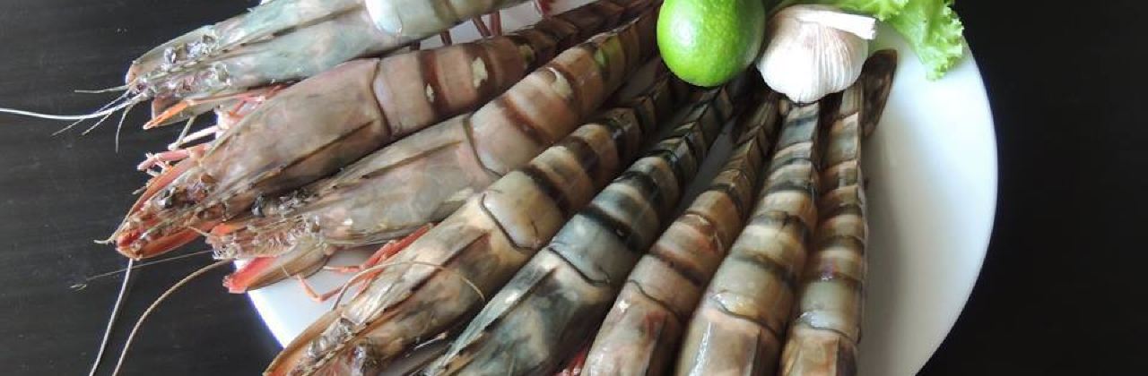 Malli's Seafood Restaurant